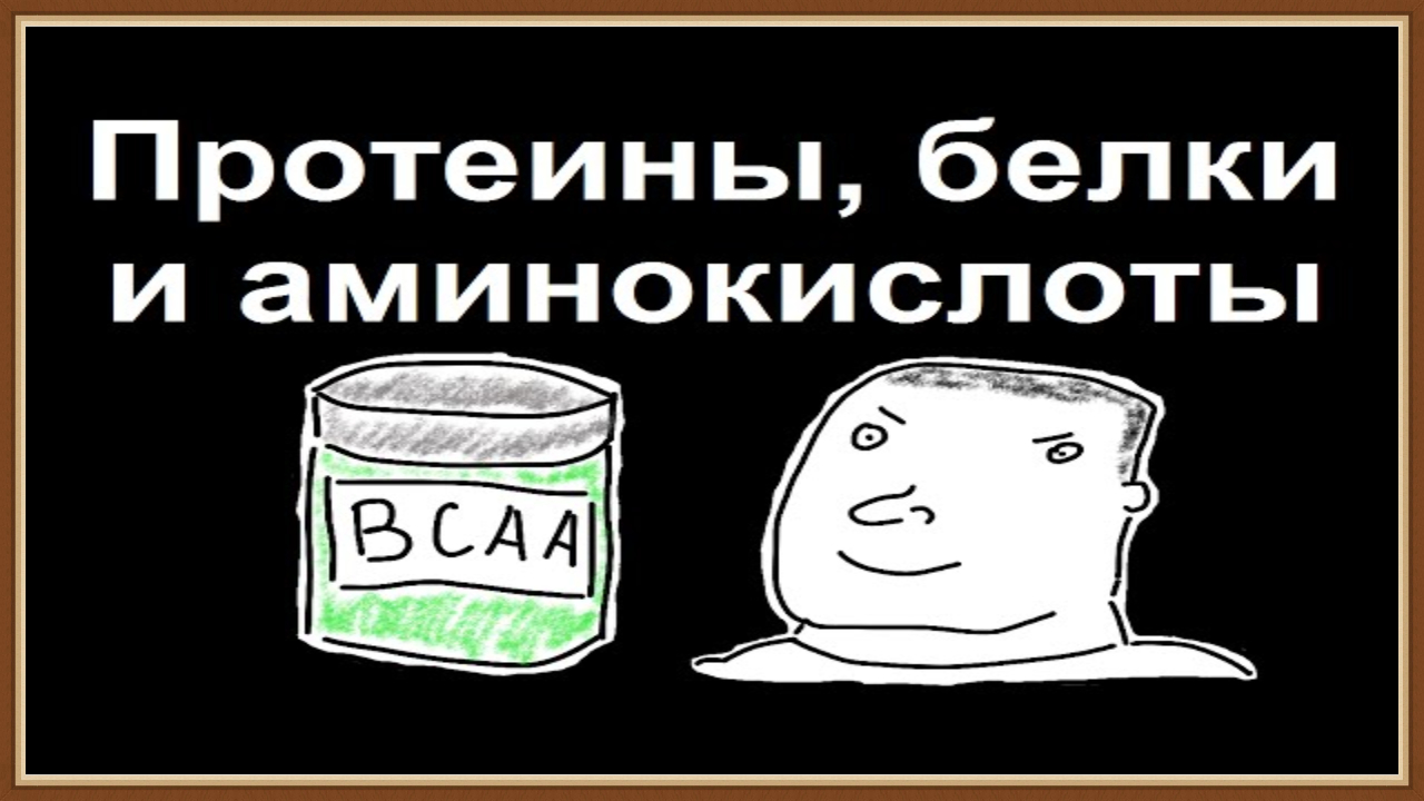 АМИНОКИСЛОТЫ ПРОТЕИНЫ БЕЛКИ смотреть онлайн