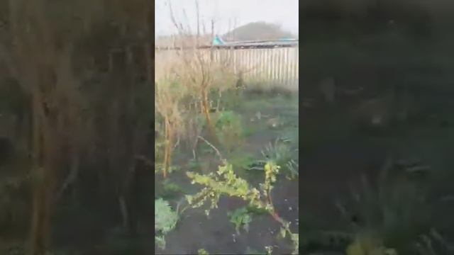 Жду Гостей смотреть онлайн