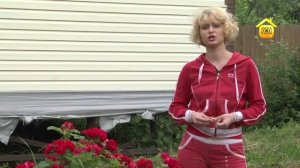 Как подключить электричество к частному дому, участку.