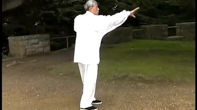 Цигун Дикого гуся (Даянь цигун - Dayan Qigong) - Part 1 смотреть онлайн