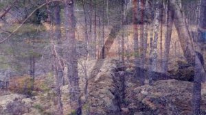 Фишмагнит- 2. Электронная приманка для рыбы. Рыбалка на крупную рыбу. Обзор.