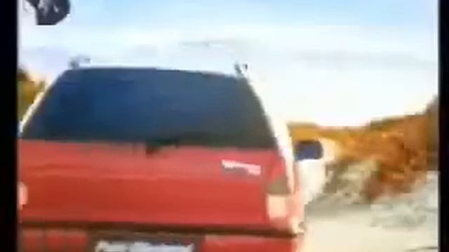 Publicidad Fiat Palio Weekend (peces) 1996 Brasil смотреть онлайн
