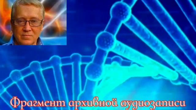 Пётр Гаряев. О матрицах с музыкой. смотреть онлайн