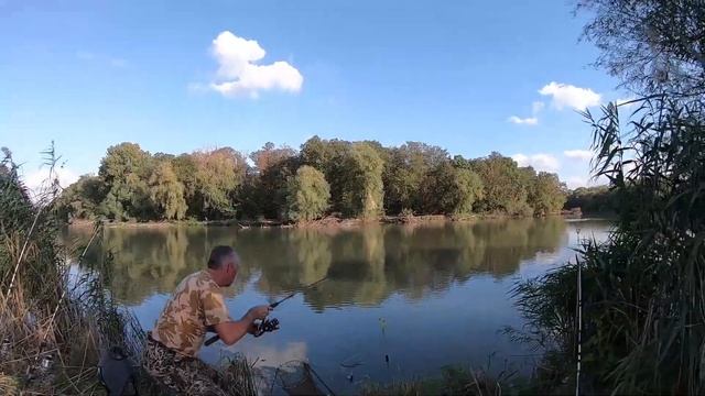 Бешеный клёв карася на фидер. Картошка в углях. смотреть онлайн