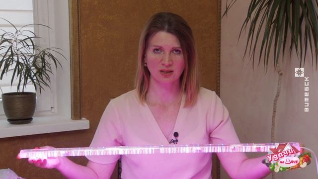 Удачи на даче (27.02.2020) смотреть онлайн