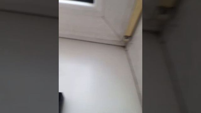 Обзор экшен камеры Digma DiCam 380(+небольшая инструкция) смотреть онлайн