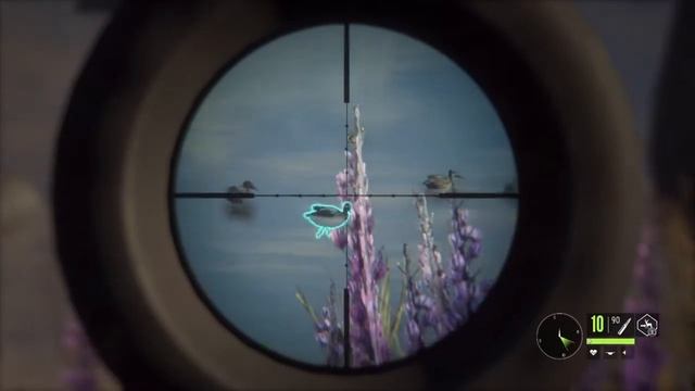Бриллиант Коричневый Чирок| Лучшее изПарк Фернандо |the Hunter Call of the Wild смотреть онлайн