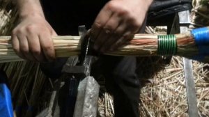 Веник сорго