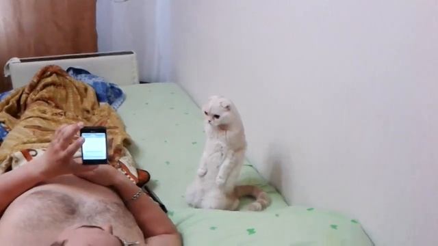 Всем смирно Звучит гимн России! смотреть онлайн