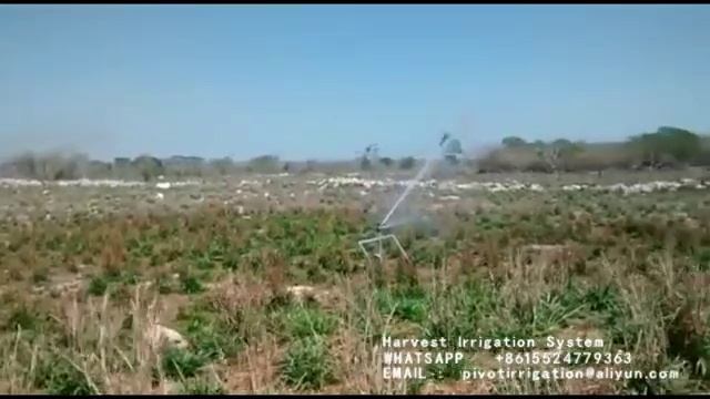 Chinese JP50-180 hose reel irrigation machine working in Mexico смотреть онлайн