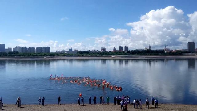 Международный заплыв через Амур смотреть онлайн