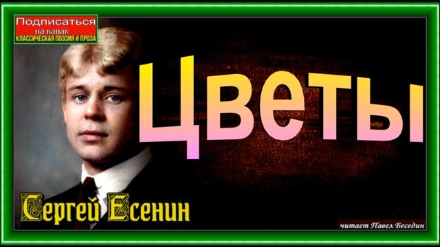 Цветы ,Сергей Есенин ,Русская Поэзия ,читает Павел Беседин смотреть онлайн