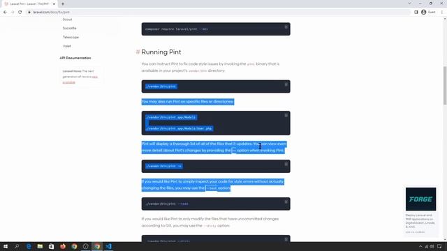 Laravel Tutorial : Laravel Pint | Clean Code, Auto Formatter & Menjaga Kodingan Tetap Konsisten смотреть онлайн