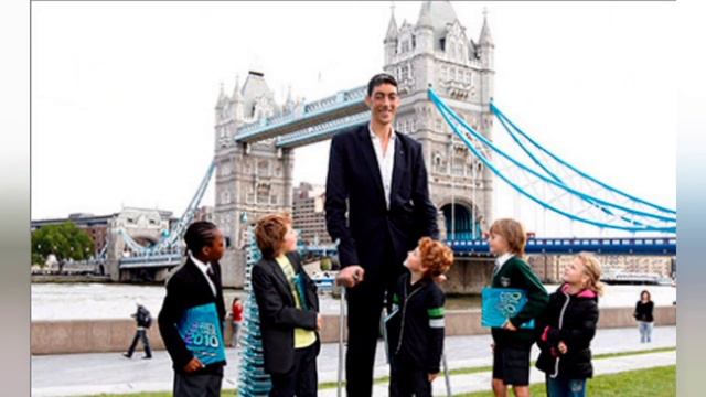 Самый высокий человек в мире! смотреть онлайн