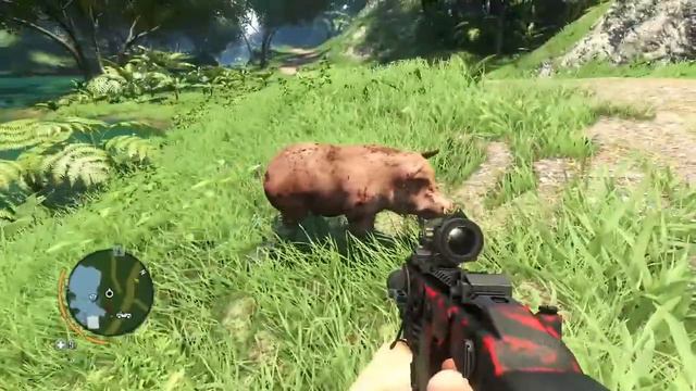 Far Cry 3- Weird Pig смотреть онлайн