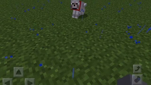 Bombo the dog but it’s Minecraft смотреть онлайн