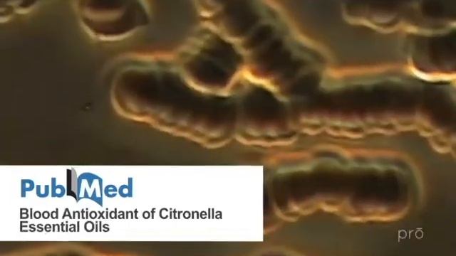 5 минут о DoTERRA