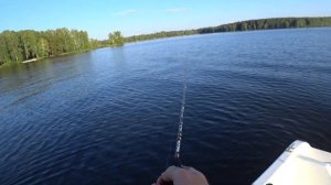 Рыбалка 29.07.23 Белоярское водохранилище, окунь на спиннинг