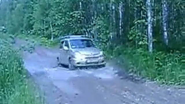 Фунтик ВЕЗДЕХОД