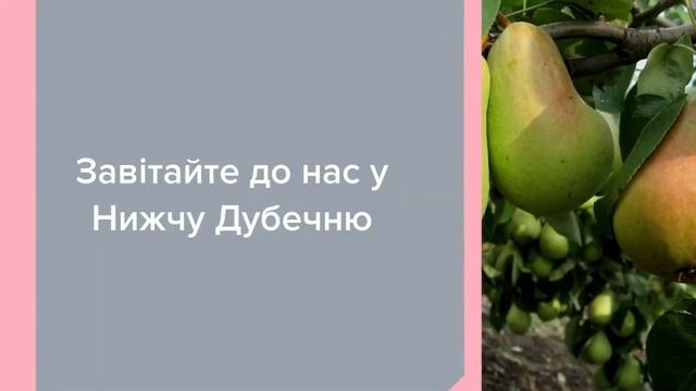Садовый Центр Зелений Двір - Груша Вильямс Летний смотреть онлайн