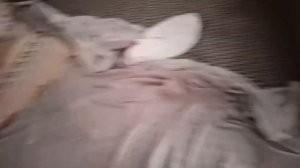 game stick lite 4k как играть? 1 этап- как подключить к телевизору