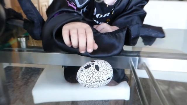 Хеллоуинские Ведьмы - повелительницы змей. Halloween Witches. Robo Rattler. смотреть онлайн