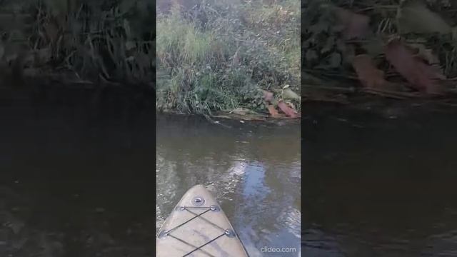 SUP сплав по Чусовой от Косого брода до Раскуихи. 12.09.21