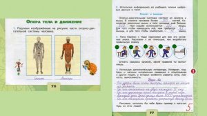 Опора тела и движение страницы 76-77 - Окружающий мир (Плешаков) - 3 класс 1 часть