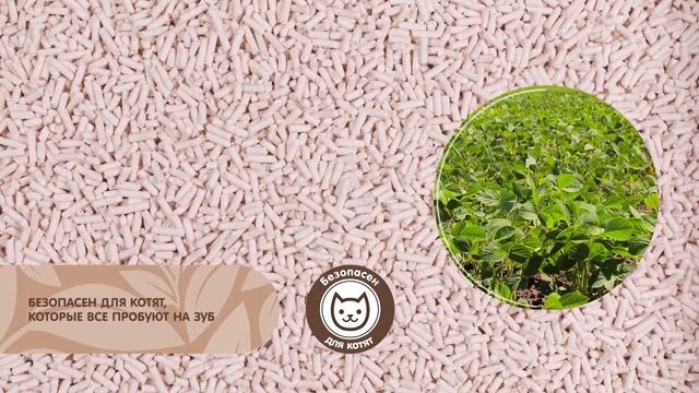 Растительный наполнитель CAT STEP Tofu Original смотреть онлайн