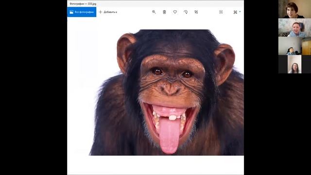 Как работать с Zoom легко и просто