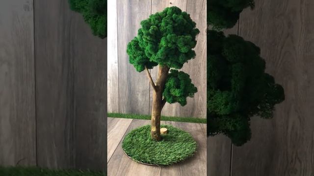 Дерево из стабилизированного мха смотреть онлайн
