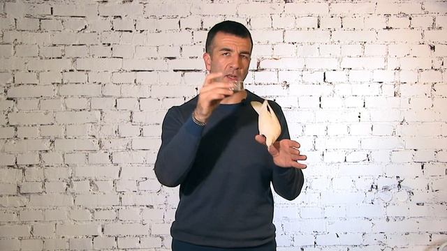 Как правильно дрессировать голубя Горлица. смотреть онлайн