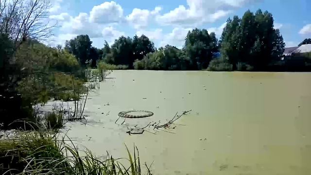 02. Landscapes of my city - Green algae in a lake смотреть онлайн