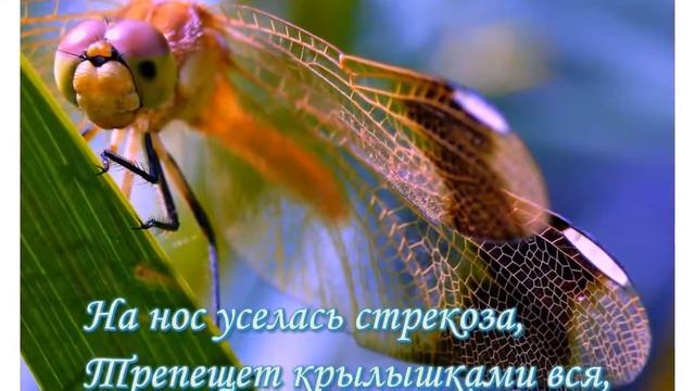Edwin Evans Abendstimmung Am Berg Lyk - Полянка-Стихи Николая Ледакова смотреть онлайн