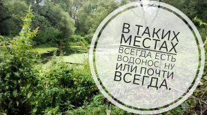 В таких местах всегда есть водонос.  Ну или почти всегда.