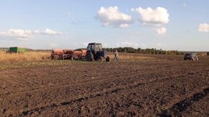 Маленький богатырь! Сев озимой пшеницы трактором МТЗ 80 с двумя сеялками СЗП 3.6!