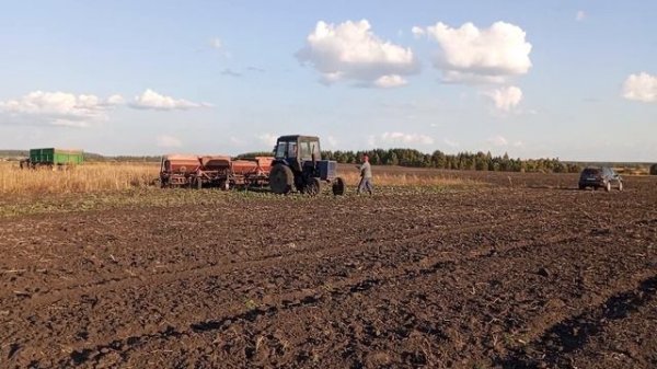 Маленький богатырь! Сев озимой пшеницы трактором МТЗ 80 с двумя сеялками СЗП 3.6!