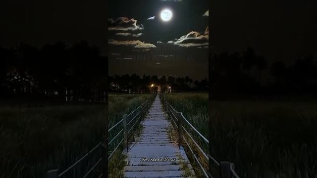Почему умные люди стремятся к одиночеству смотреть онлайн