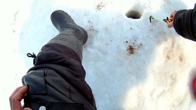 Шарыпово рыбалка на "Трубе" 1ч 23.03.2018 смотреть онлайн