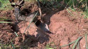 30-07-2024 Экстремальные температурные условия🥵 В контексте поиска металлических ресурсов.