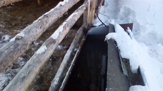 поилка для быков...рентабельность, замерзла вода