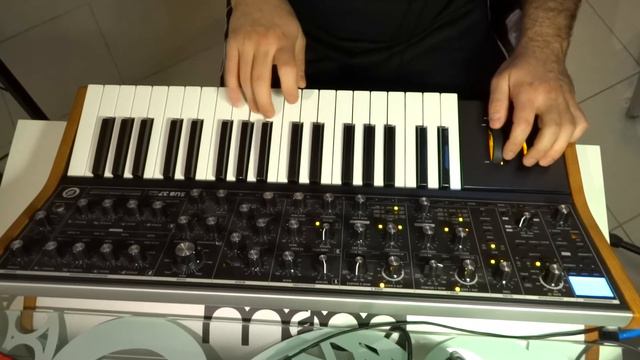 Thing of Gold - Snarky Puppy - Moog solo смотреть онлайн