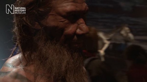 Meet the first Britons | Natural History Museum