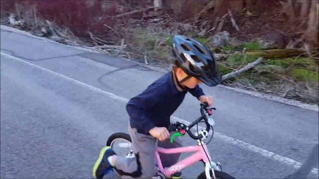 Turning a WOOM 3 into a Balance Bike смотреть онлайн