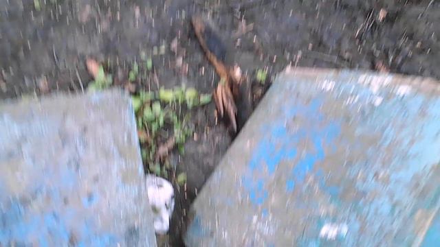 вороненок смотреть онлайн
