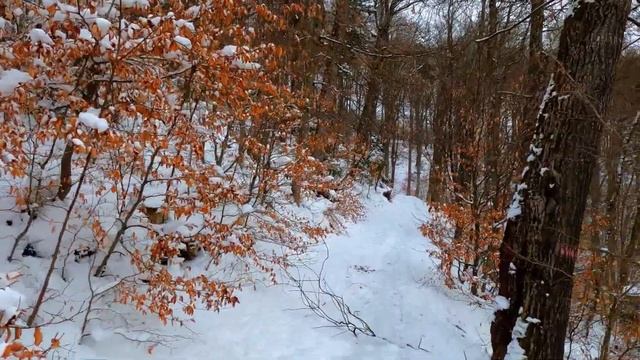 ♐ 20 Января - День для удовольствия | Лунный календарь смотреть онлайн