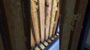 Работа пчелоудалителя. Качаем мед. Отбор корпусов. #пчеловодство #beekeeping #пасека