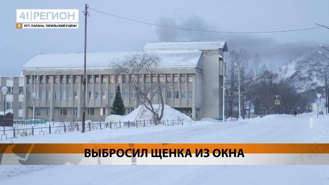 ВЫБРОСИЛ ЩЕНКА ИЗ ОКНА • НОВОСТИ КАМЧАТКИ смотреть онлайн