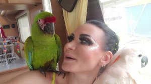 Сидим,болтаем!)