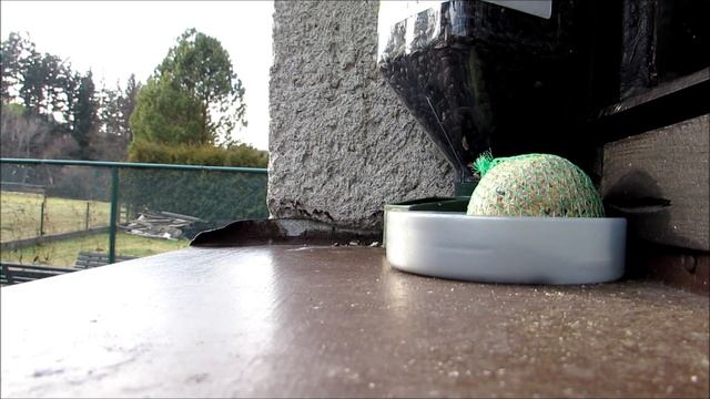 Canon SX510 HS video test - FullHD смотреть онлайн